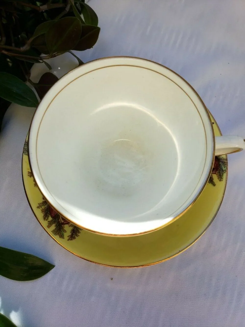 Vintage Taylor & Kent Bone China Cup and Saucer  England Yellow Wild Roses